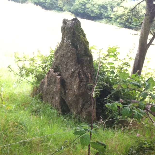 Gallery – Gurt Yurt